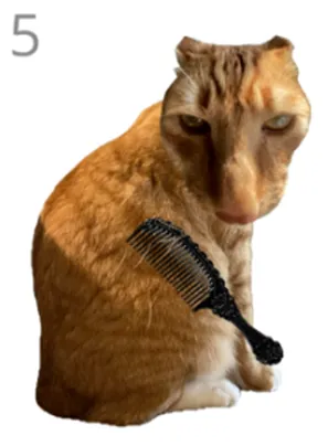 给猫梳毛游戏怎么玩的