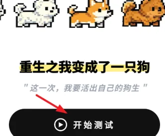 MBTI小狗人格app怎么用：