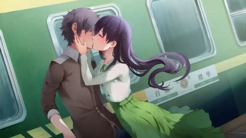 候鸟游戏安卓移植版截图3