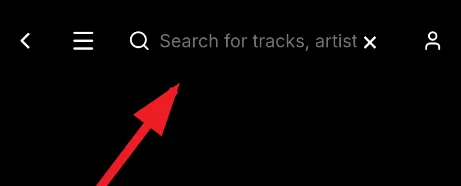 Fabiodalez音乐app怎么用