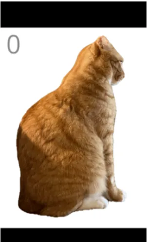 给猫梳毛手游移植版怎么玩