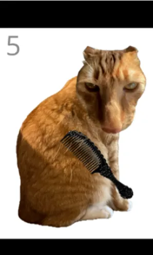 给猫梳毛手游移植版怎么玩