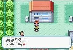 口袋妖怪火红萌版攻略：