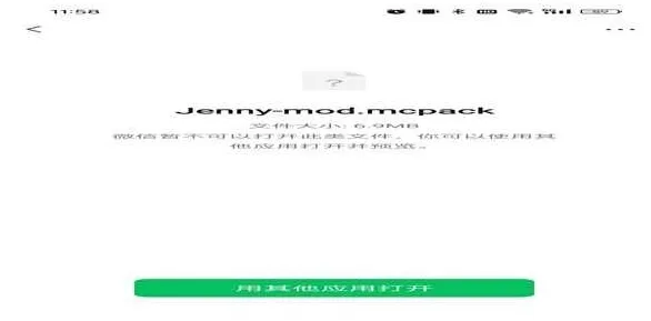 珍妮模组魅魔包3.0版本导入教程