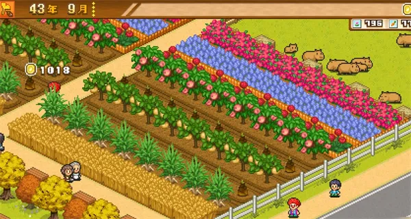 周一目速通精要：6年通关核心节奏把控