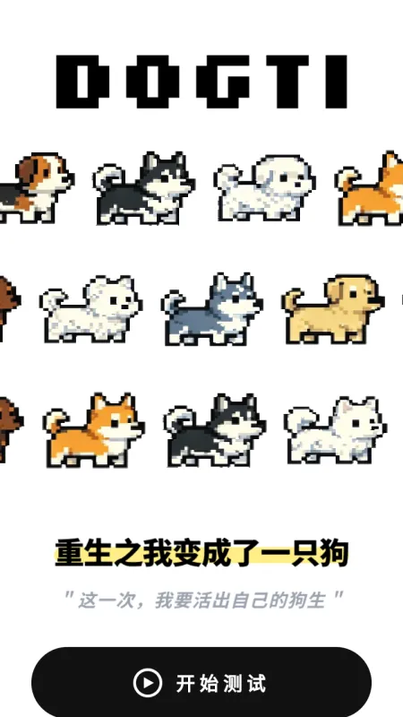 dogti人格测试官方免费版截图2