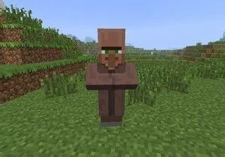 我的世界烦人的村民如何接受任务