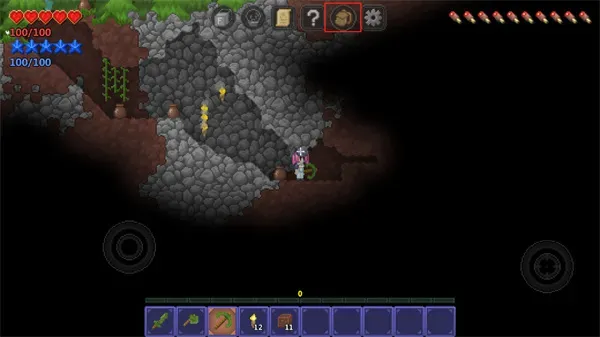 泰拉世界正版新手攻略