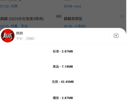 无损下载音乐app手机版怎么用