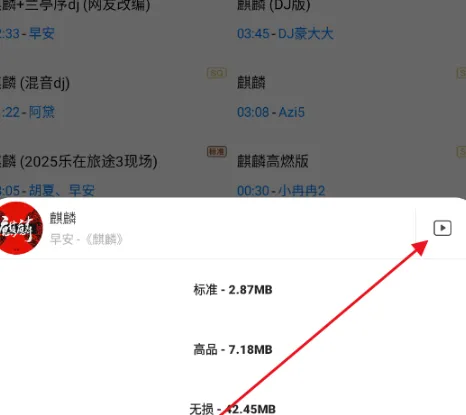 无损下载音乐app手机版怎么用