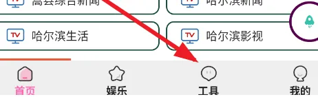 菠萝助手怎么用