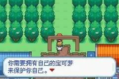 口袋妖怪梦的光点图文攻略：