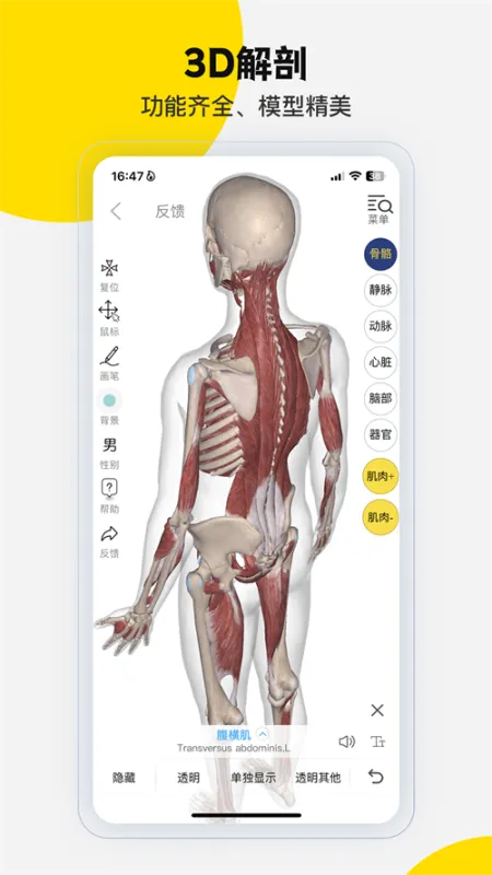 第三人体官方版截图4