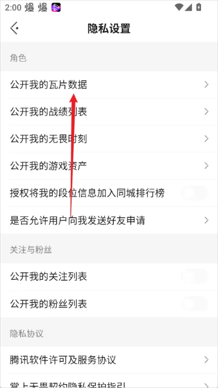 瓦罗兰特助手怎么隐藏游戏数据