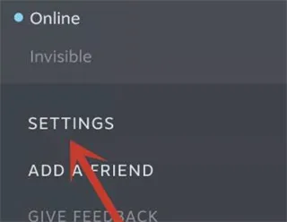 steam手机版怎么设置中文?