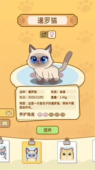 云爪星游戏玩法