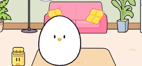 Jibi Jibi