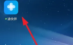 迪伙伴怎么设置 迪伙伴怎么设置