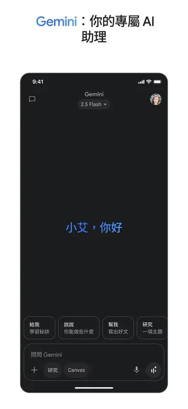 gemini人工智能模型软件截图4