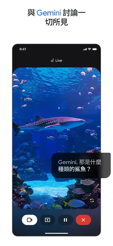 gemini人工智能模型软件截图1