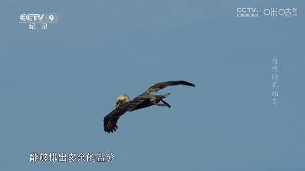趣看仓BOX电视盒子纯净版截图1
