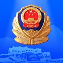 西藏公安政务服务平台官方版