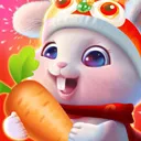 前兔似锦软件