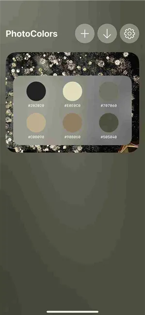 photocolors调色盘怎么查看色卡 photocolors调色盘怎么查看色卡