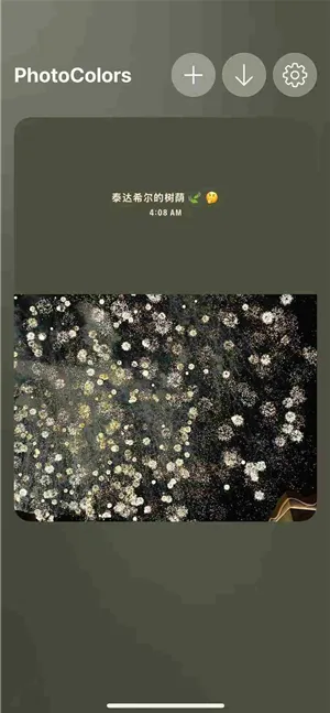 photocolors调色盘怎么查看色卡 photocolors调色盘怎么查看色卡