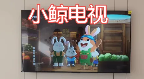 小鲸电视tv电视版优势