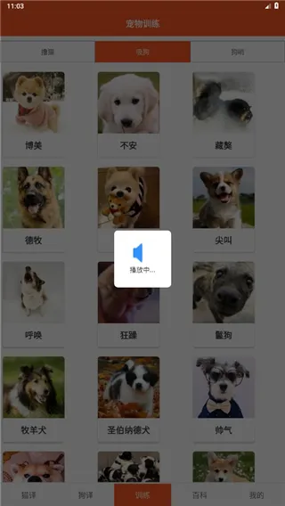 萌趣猫狗翻译器无广告版怎么用？