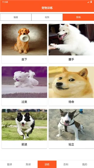 萌趣猫狗翻译器无广告版怎么用？