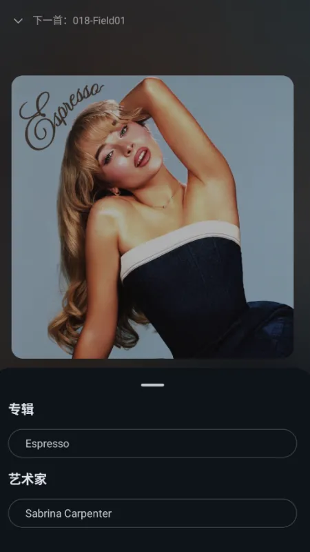 LunaBeat本地音乐播放软件截图2