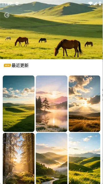 萤火虫壁纸主题商店app怎么设置壁纸? 萤火虫壁纸主题商店app怎么设置壁纸?