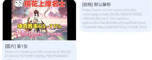 提取喵怎么用