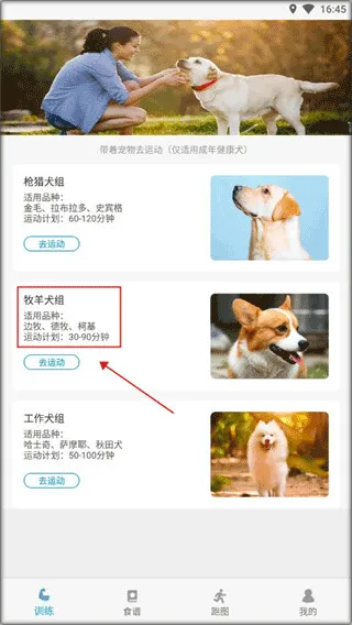 小兔乐跑app如何使用? 小兔乐跑app如何使用?