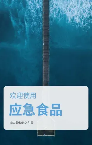 原神应急食品