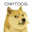 ChatDog智 能AI聊 天