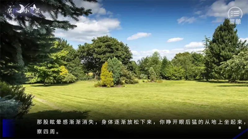 BTS拿捏了小韭菜橙光版怎么玩