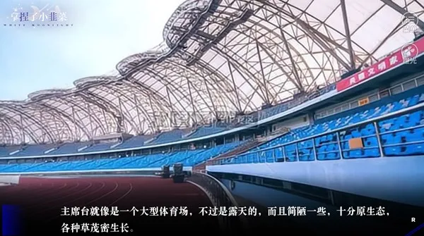 BTS拿捏了小韭菜橙光完结版截图4