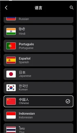 双子座AI中文设置方法