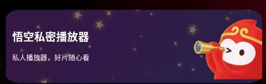 悟空隐私播放器 悟空隐私播放器