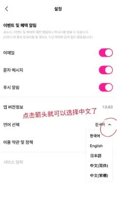 BIGC如何设置为中文