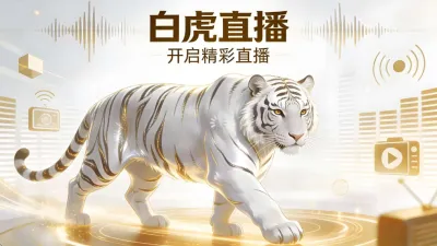 白虎TV版