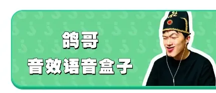 鸽哥语音盒 鸽哥语音盒
