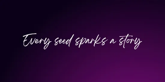 Seeds Short短剧纯净版优势