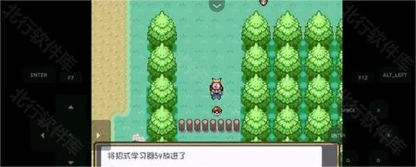 口袋妖怪燃之智官方正版怎么玩