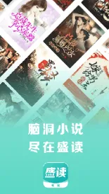 盛读小说旧版