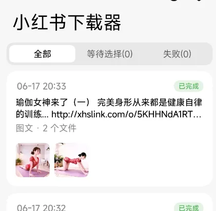 小红书下载器 小红书下载器