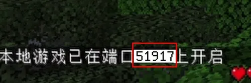 pcl2启动器2026最新版怎么联机 pcl2启动器2026最新版怎么联机